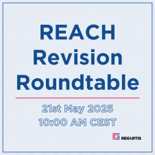 REACH Revision Roundtable